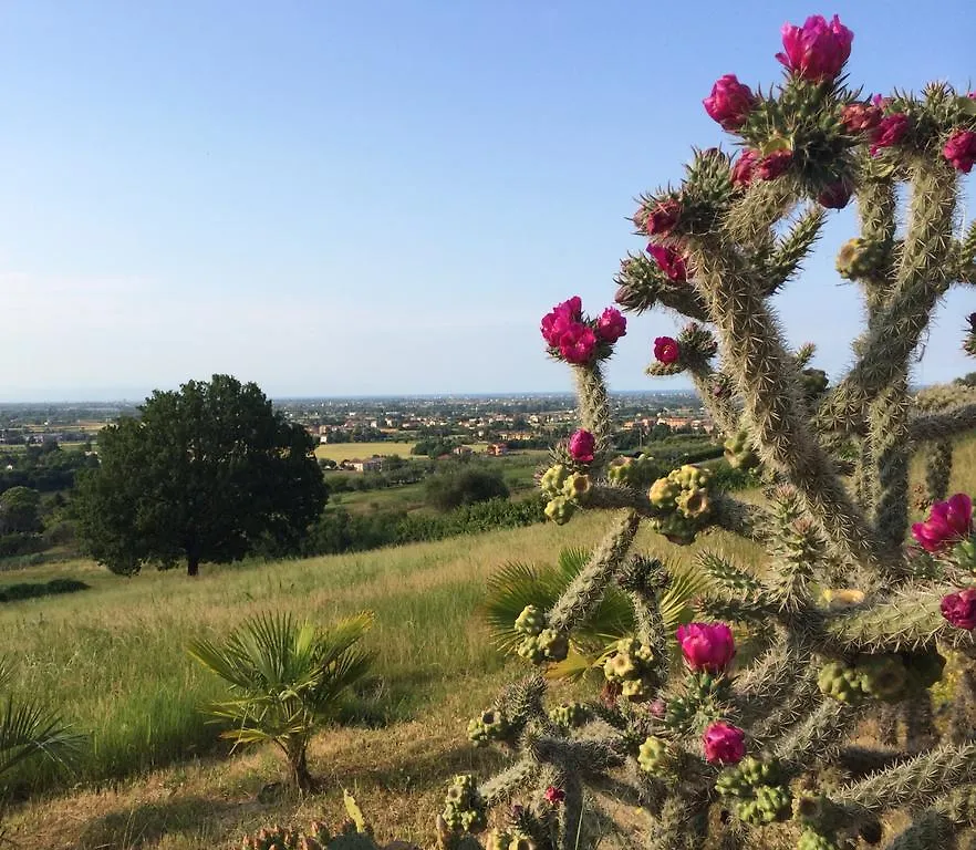 Villa Dell' Artista - Villa Anna SantʼArcangelo di Romagna Frühstückspension